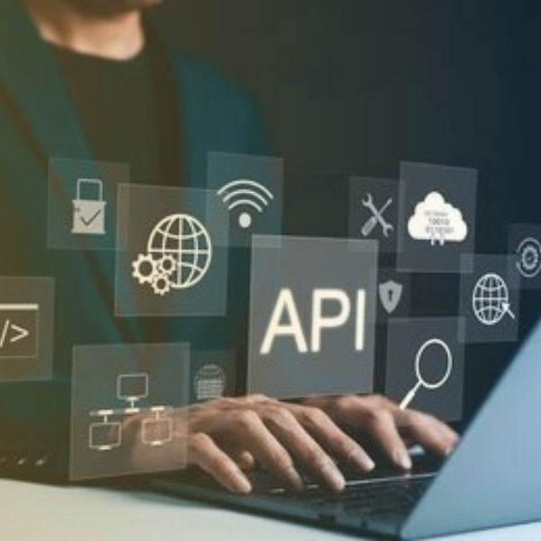 Web App & API security overview